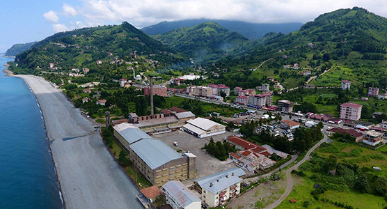Çaykur Kemalpaşa Çay Fabrikasi